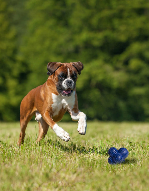 Load image into Gallery viewer, Power Play Crazy Ball Dog Toy Large/Giant - up to 50 Lbs. (1 Count)
