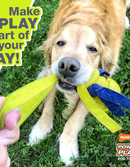 Load image into Gallery viewer, Power Play Crazy Ball Dog Toy Large/Giant - up to 50 Lbs. (1 Count)
