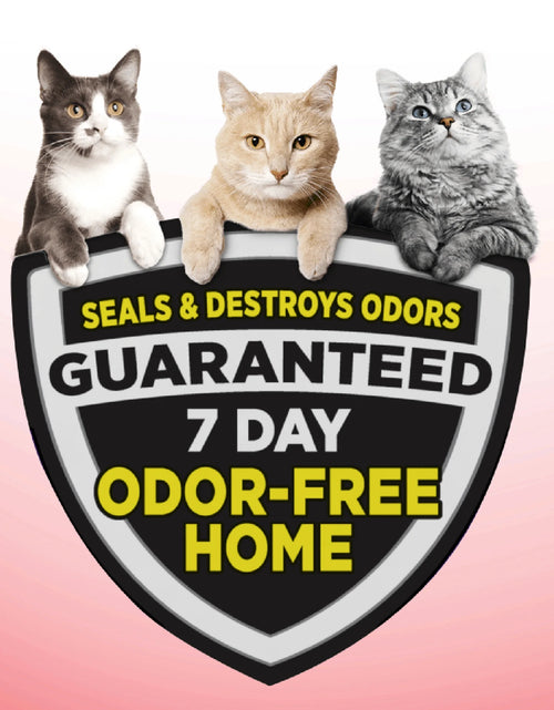 Load image into Gallery viewer, Clump &amp; Seal Cat Litter Multi-Cat Complete Odor Sealing Clay Clumping Cat Litter, 28 Lb
