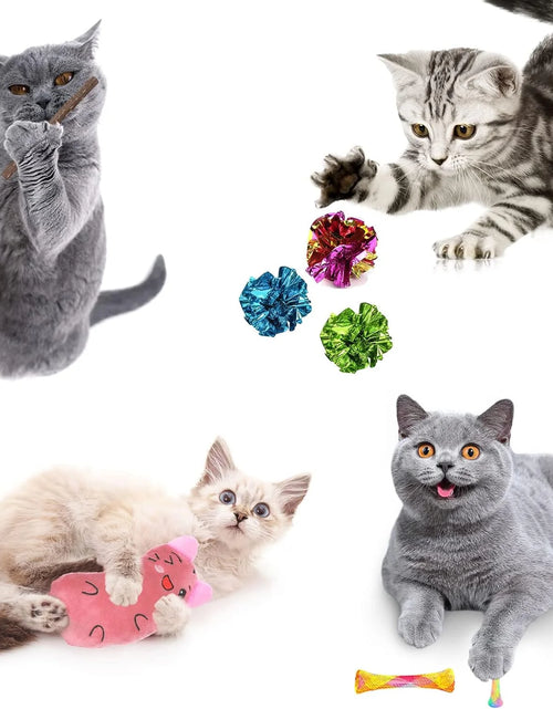 Load image into Gallery viewer, 34Pcs Cat Toys Kitten Toys, Interactive Kitty Toys with Collapsible Cat Tunnels Tent, Cat Wand Catnip Feather Teaser
